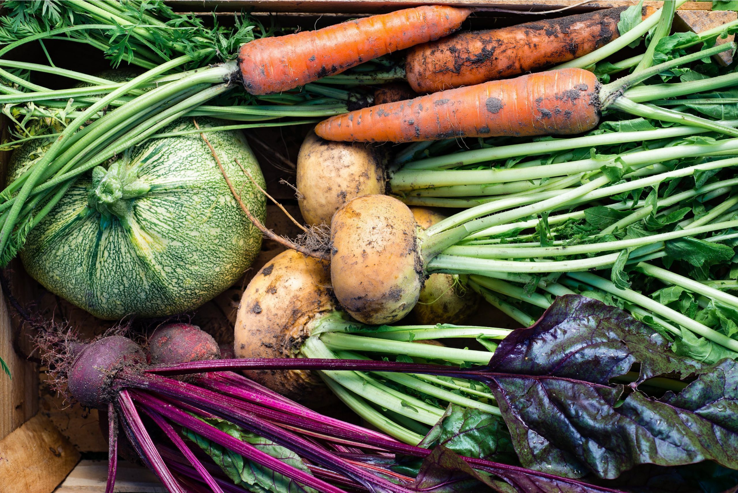 root-to-stem-cooking-maximize-your-produce-and-reduce-your-waste-taffeta